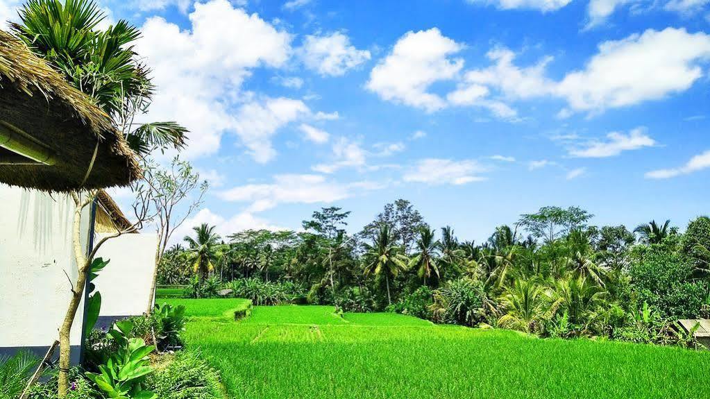 Amatara Abirama Villas Ubud  Exterior photo